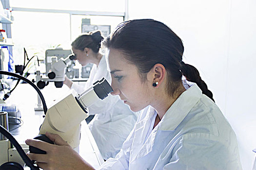 生物学,学生,显微镜
