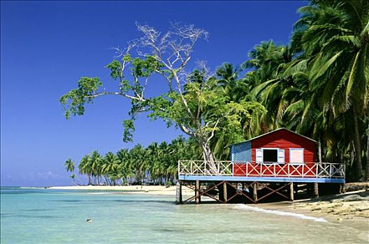 多米尼加共和国,海滩,海边