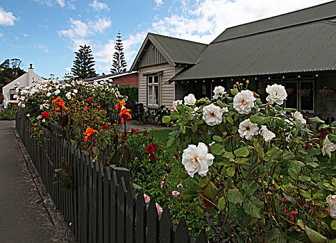 新西兰南岛的法国风情小镇阿卡罗阿,akaroa
