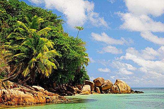 大石头,海滩,普拉兰岛,塞舌尔,非洲