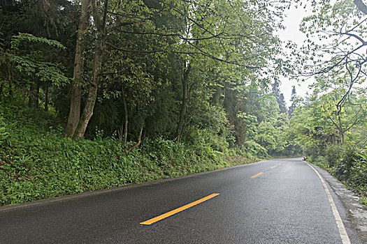 森林公路