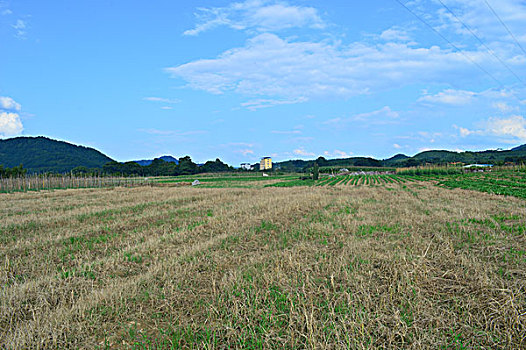 田园风光