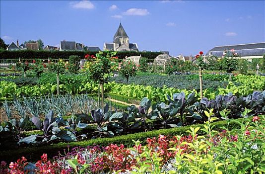 维朗德里城堡,法国,菜园,乡村,教堂,背景