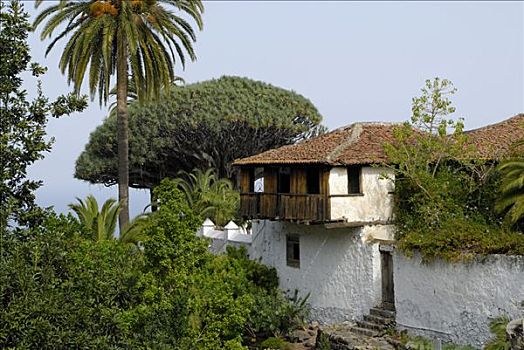 房子,审讯,特内里费岛,加纳利群岛,西班牙