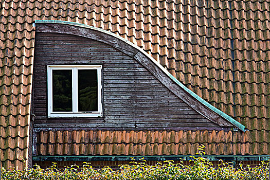 一半,眉毛,屋顶窗,瓦屋顶,房子,克莱菲德,北莱茵威斯特伐利亚,德国