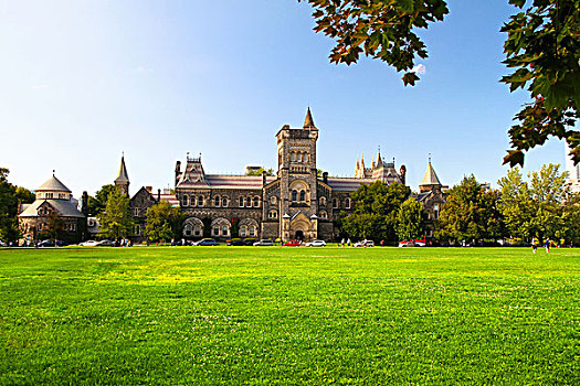 多伦多大学