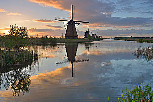 历史,风车,世界遗产,小孩堤防风车村,荷兰南部,荷兰