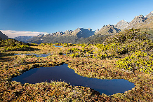 水塘,钥匙,顶峰,峡湾国家公园,山脉,南部地区,新西兰,大洋洲