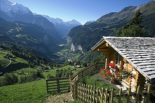 高山,小屋,伯恩高地,瑞士