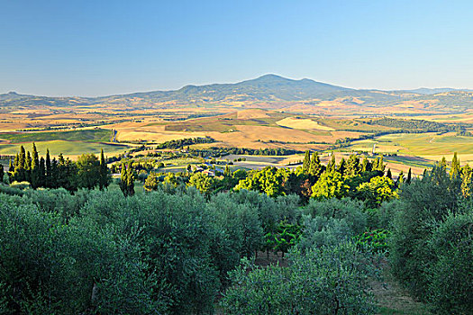 俯视,乡村,皮恩扎,锡耶纳省,托斯卡纳,意大利