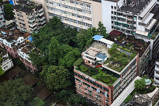 广州,夜景,摩天大楼,灯光,照明,霓虹灯,小蛮腰,电视台,珠江,都市,居民区,花草,美化,园林