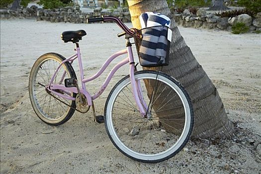 自行车,树,海滩,伯利兹