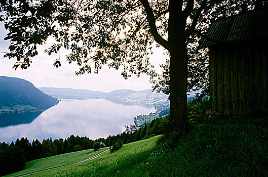 风景,湖,围绕,山,瑞士