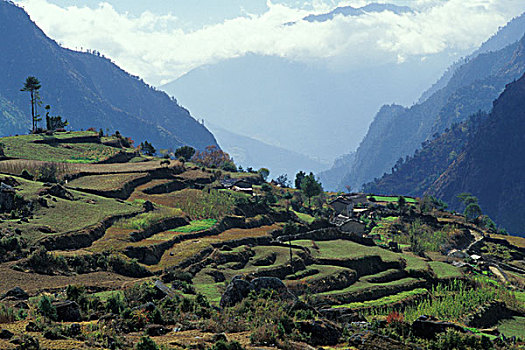 农业,山地,风景,昆布,喜马拉雅山,尼泊尔