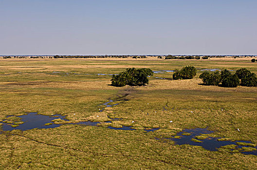 卡富埃国家公园,赞比亚,非洲