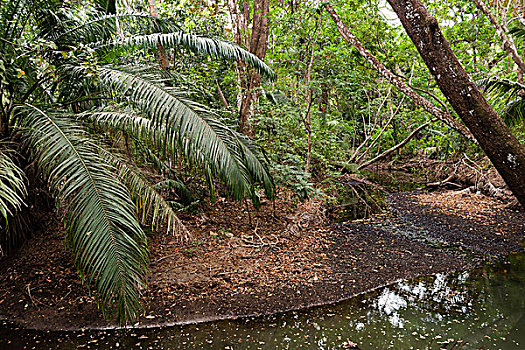 野生动植物保护区,哥斯达黎加