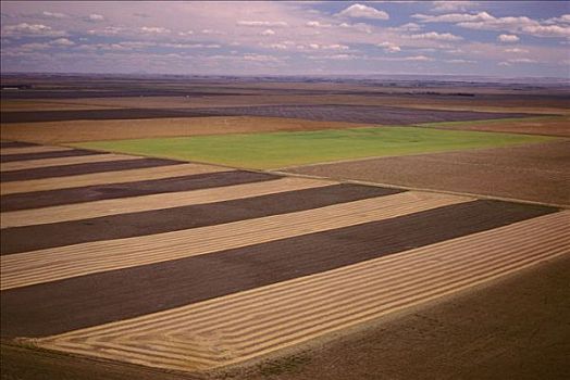 细条,耕作,北方,艾伯塔省,加拿大