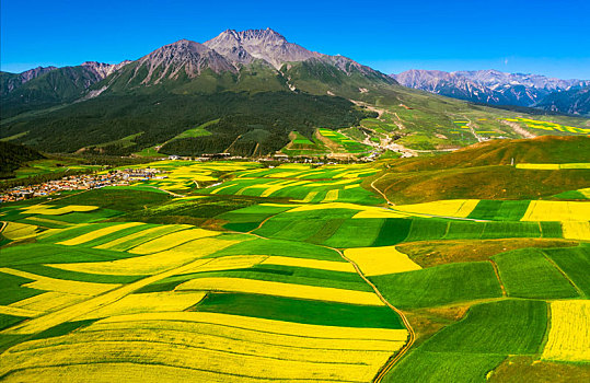 青海省祁连县卓尔山景区丹霞地貌里的油菜花田