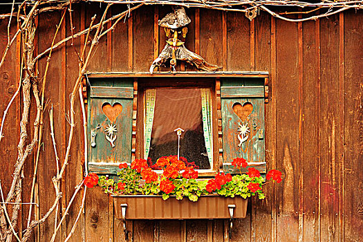 传统,巴伐利亚,百叶窗,红花