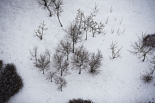 雪后