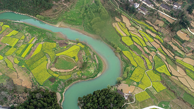 重庆酉阳,油菜花开,扮靓乡村