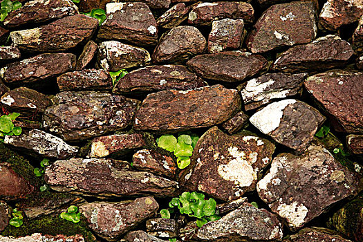 石头,墙壁,栅栏,特写,爱尔兰,欧洲