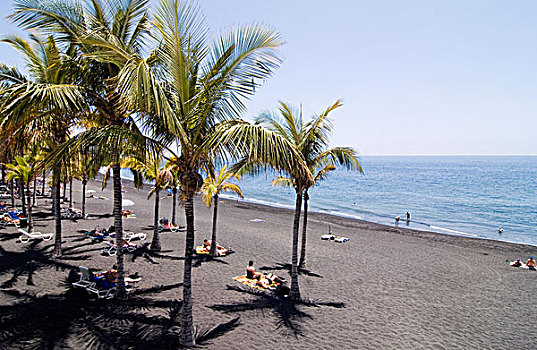 海滩,波多黎各,帕尔玛,加纳利群岛,西班牙,欧洲