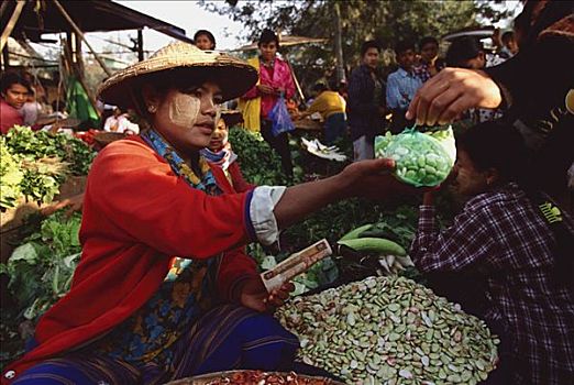缅甸,女人,销售,豆,早晨,市场