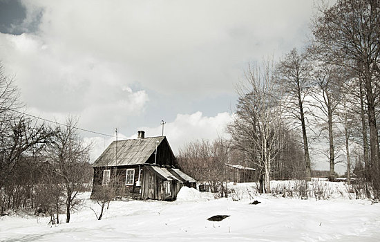 荒废,木屋,屋舍,冬天,时间,波兰,老,自制,木头,雪,地上,冬季风景,无人