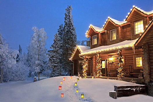 原木,家,装饰,圣诞灯光,人行道