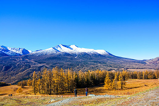 喀纳斯雪山