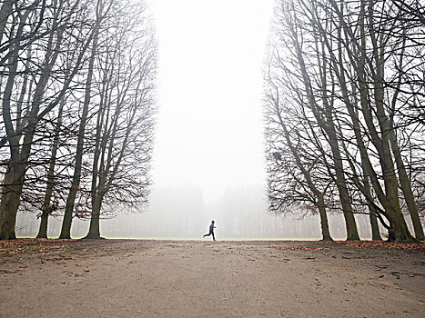 人,跑,雾状,公园