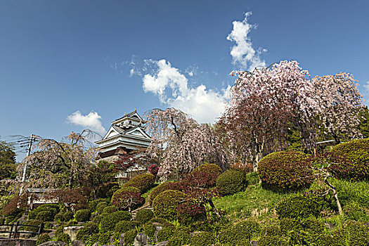 鹿儿岛,城堡,公园,日本