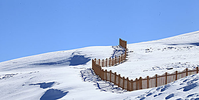 东天山雪韵