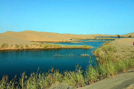 沙漠绿湖