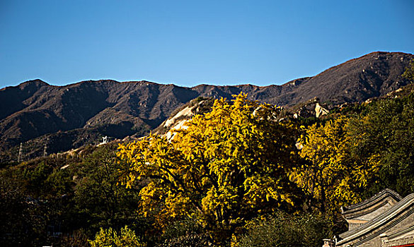 北京凤凰岭龙泉寺