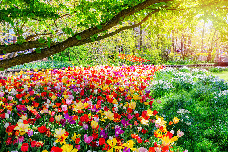 高清鲜艳的春景图片图片