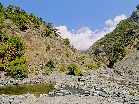 火山口,国家公园,帕尔玛