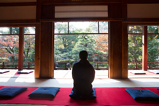 后视图,男人,坐,蓝色背景,垫子,地板,传统,日本,建筑