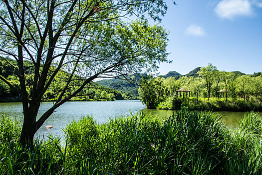 玉渡山,湖,水面