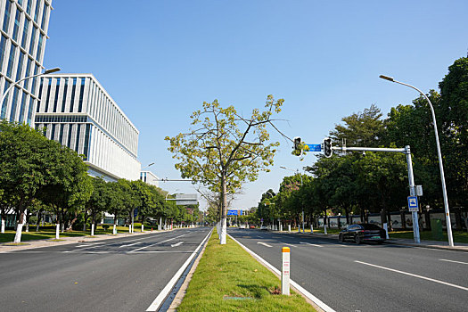 广州生物岛冬天现代化的写字楼和研究基地及宽阔的马路与绿化