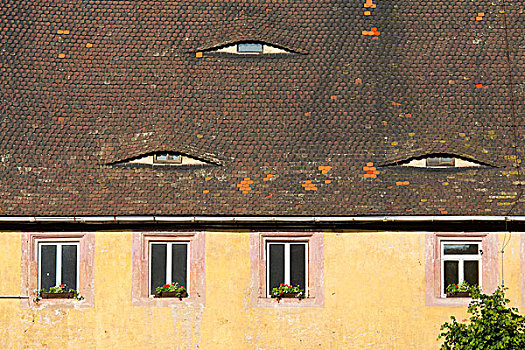 17世纪,住宅,瓦屋顶,萨克森安哈尔特,德国