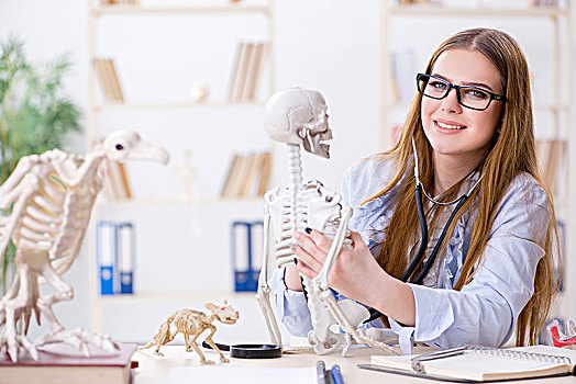 学生,坐,教室,学习,骨骼