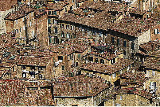 俯视,城市,房子,锡耶纳,意大利