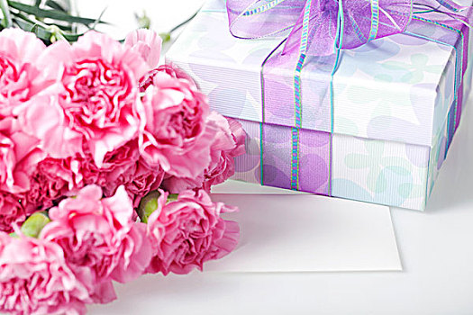包装,礼盒,粉色,康乃馨,花,卡片