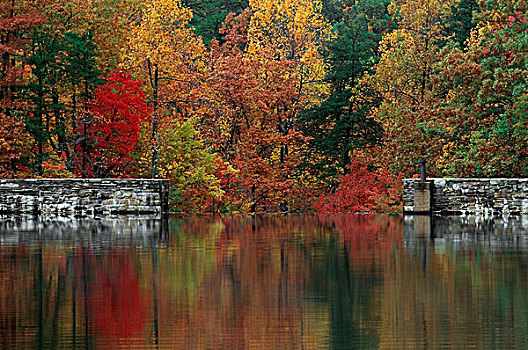北卡罗来纳,美国,秋天,彩色,树,石头,坝,墙壁,反射,湖