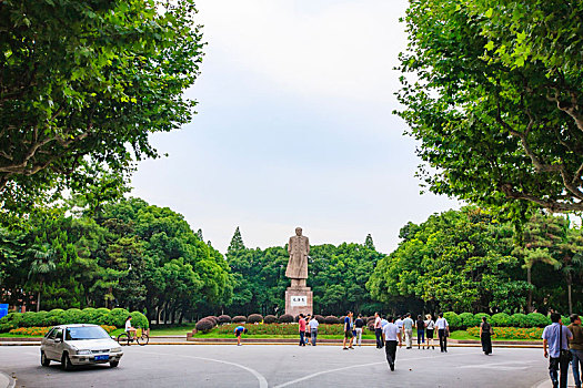 上海,复旦大学,校园,草地,树木,林荫道