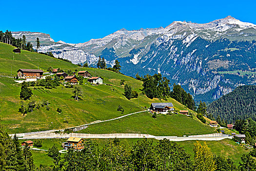 山谷,背影,阿尔卑斯山,瑞士,欧洲