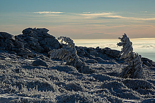 冰冻,向上,风景,布罗肯,哈尔茨山,萨克森安哈尔特,德国