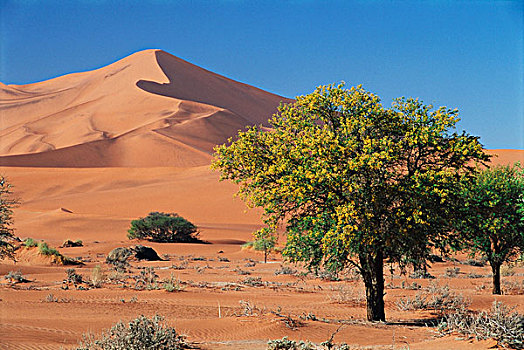 纳米比亚,塞斯瑞姆,索苏维来地区,沙丘,沙漠,纳米比沙漠,国家公园,大幅,尺寸
